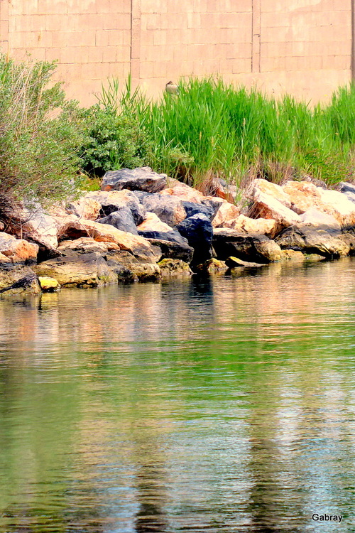 Jeux de reflets sur l’eau !