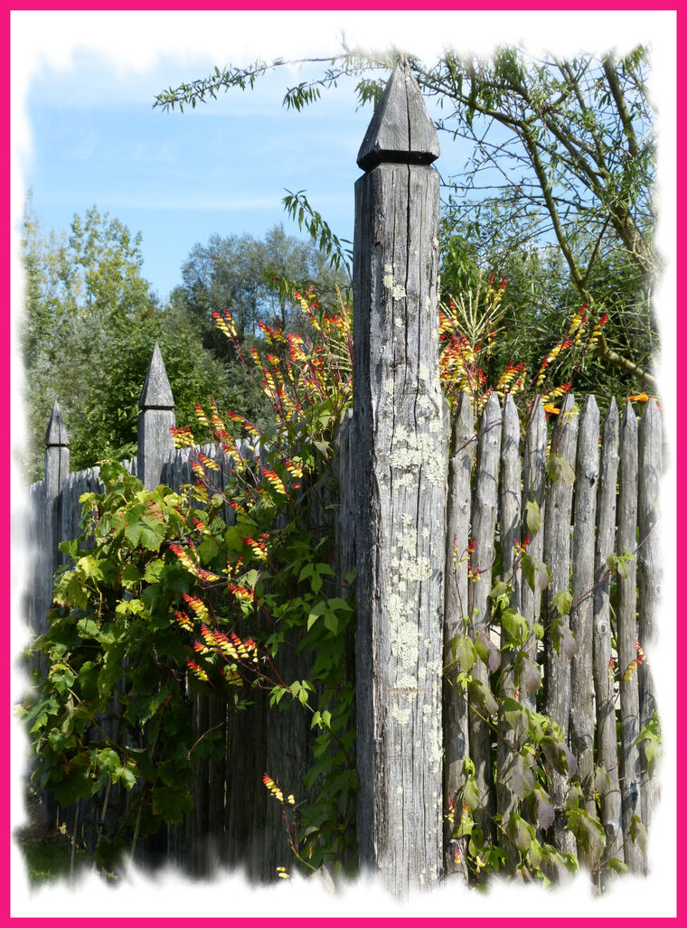  Aux alentours du verger et du potager ..