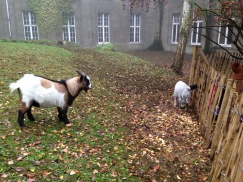 La petite ferme