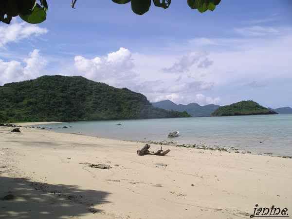http://i52.tinypic.com/ifv4mh.jpg