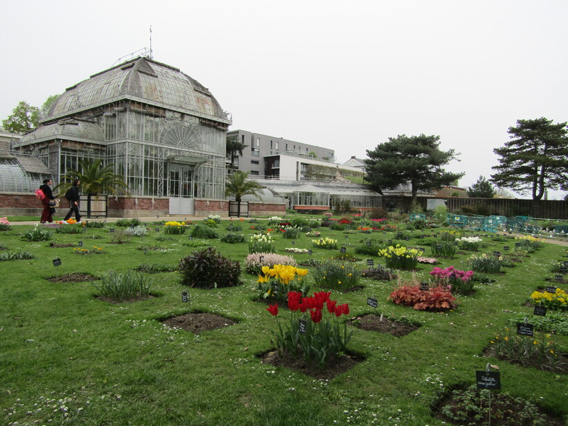 !!! PETIT TOUR AU JARDIN DES PLANTES CE 6 AVRIL !!!