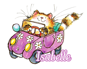 295 Chat voiture, blinkie,signature anime