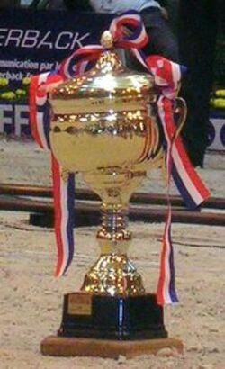 COUPE DE FRANCE 2013 / 2014.