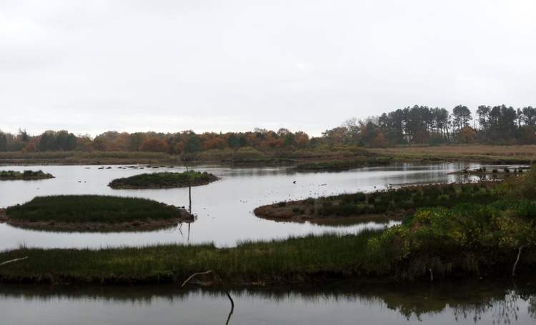 Le Parc du Teich