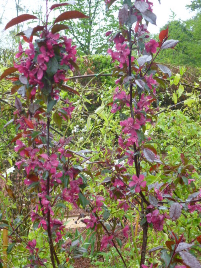 JARDINS DE CHAUMONT, LA POSE GASTRONOMIQUE