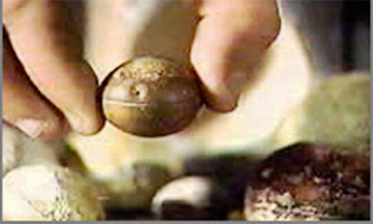 Les boules de pierre d'Afrique du Sud contiennent probablement des images issues de notre lointain passé