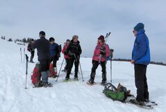 10 mars 2015 - Les crêtes de la Molière