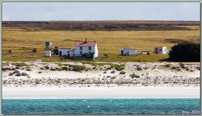 Vue panoramique lors du mouillage de l'Austral devant la plage de Volunteer Point : le paysage est désolant, que venons-nous faire ici ? - Falkland Islands, Iles Malouines, Islas Malvinas
