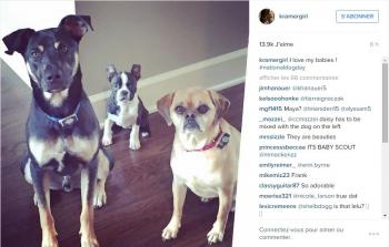 Jana Kramer sur Instagram  I love my babies ! #nationaldogday - Google Chrome_2015-08-26_22-10-24