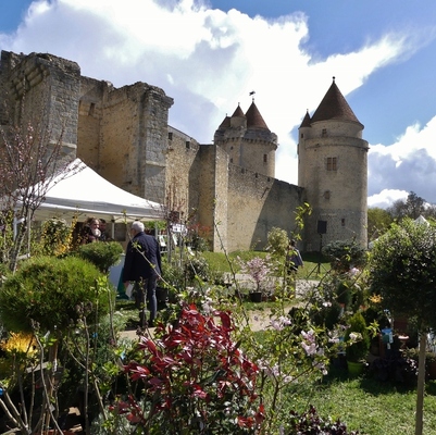 Journées des Plantes et Art du Jardin de Blandy-les-Tours : retour sur l'édition 2023