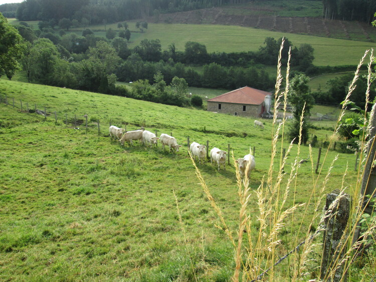 Circuit des Croix..