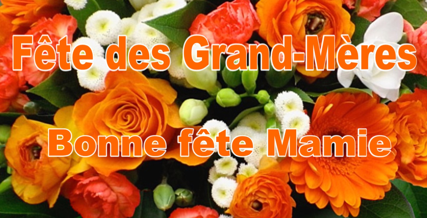 BONNE FETE DES GRANDS-MERES - MAMIENINETTE37