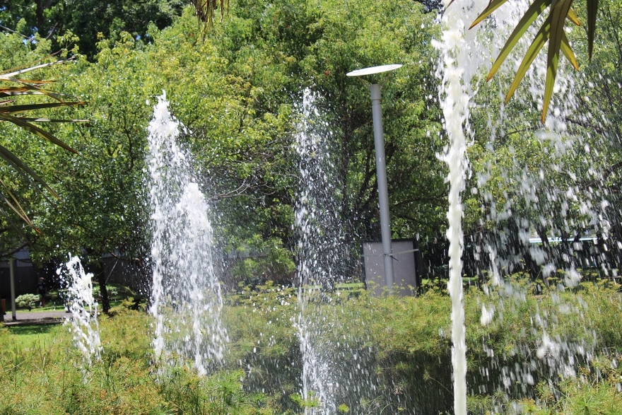 22/8/22 : JARDIN DE L'ETAT A SAINT-DENIS (2/6)