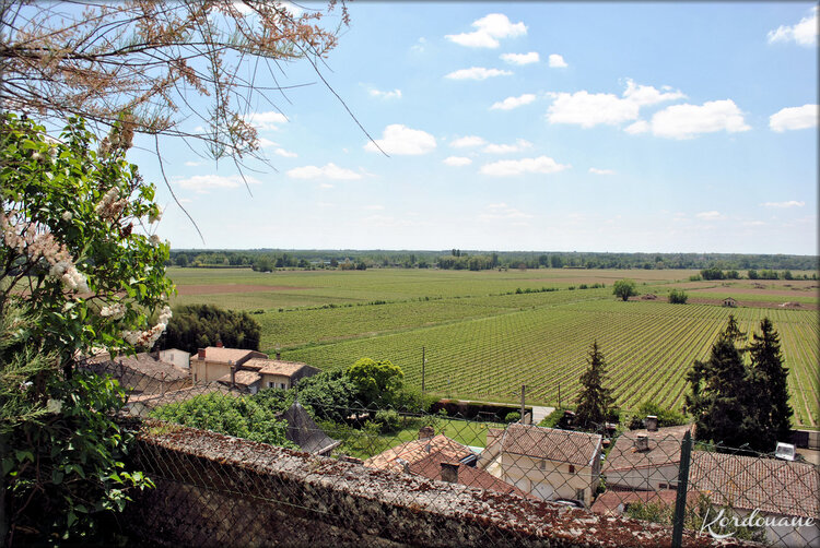 Photos paysages autour du château médiéval de Langoiran