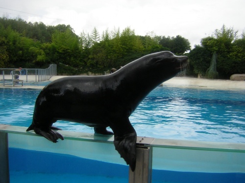 PARC ZOOLOGIQUE DE BEAUVAL EN SOLOGNE