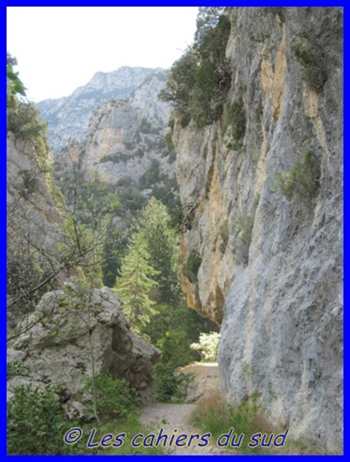 Les gorges de Trévans