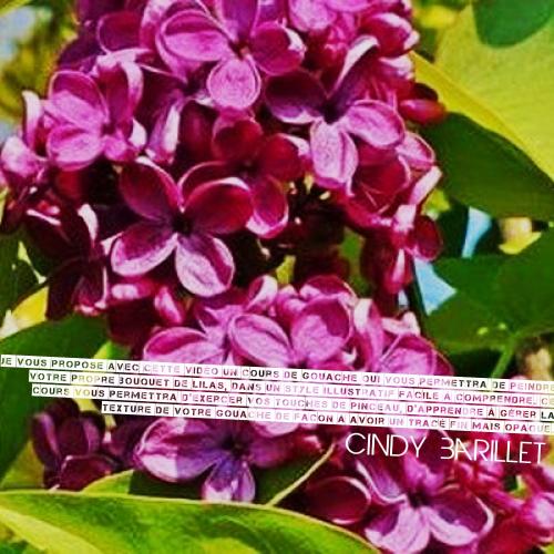 Dessin et peinture - vidéo 3530 : Comment peindre des lilas ? - gouache.