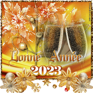 Bonne année 2023 - gif animé - 3 - les gifs animés de dentelledelune