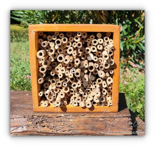 2022 - Maison pour Abeilles maçonne - ND