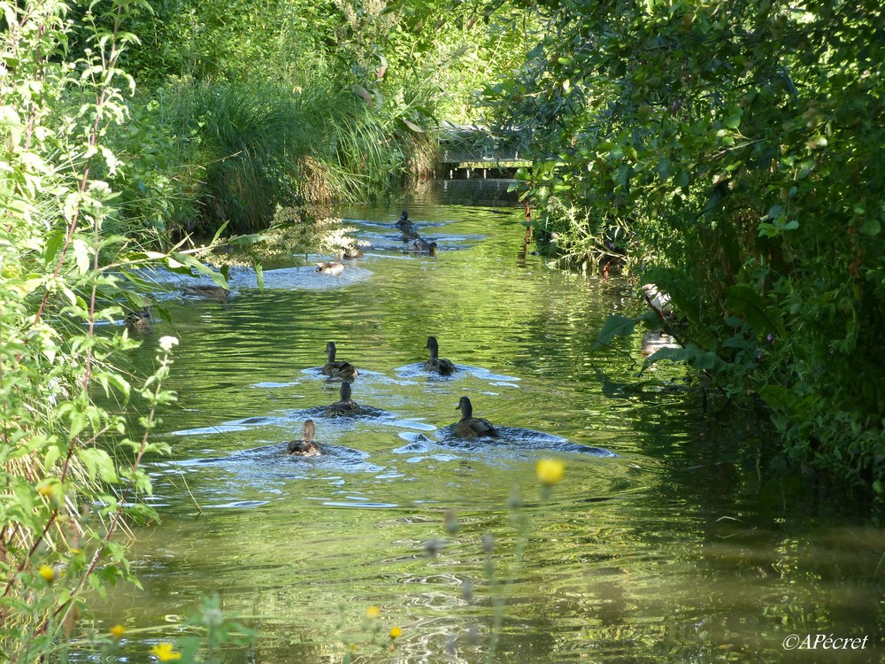 Amiens en pleine nature 