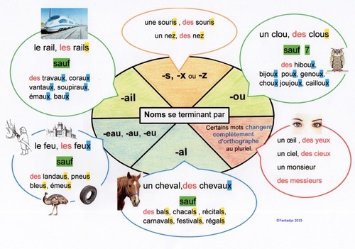 Pluriel des noms + cas particulier