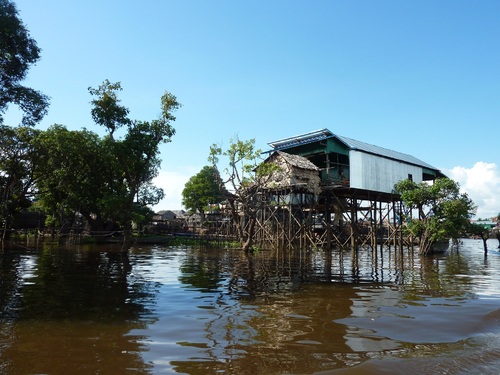 Balade en bateau sur la forêt inondée du Tonlé Sap (Cambodge)