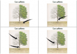 Jeux de français Cycle 2