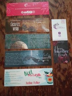 Réception Ulule Octobre 2024