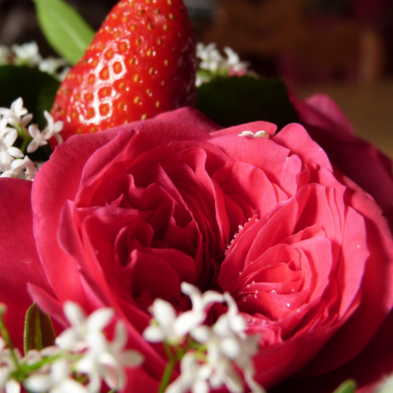 Roses au sucre, bouquet de fraises...