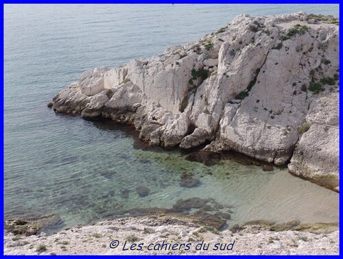 Balade aux iles du Frioul, Pomègues
