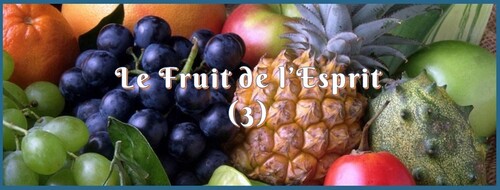 Calendrier Biblique - Le Fruit de l'Esprit (3)