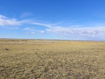 Steppe aride