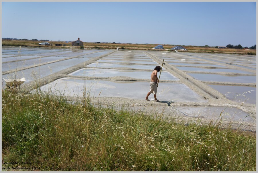 Noirmoutier paludier 