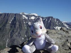 Mascotte en montagne
