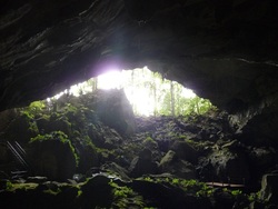 Le parc du Gunung Mulu