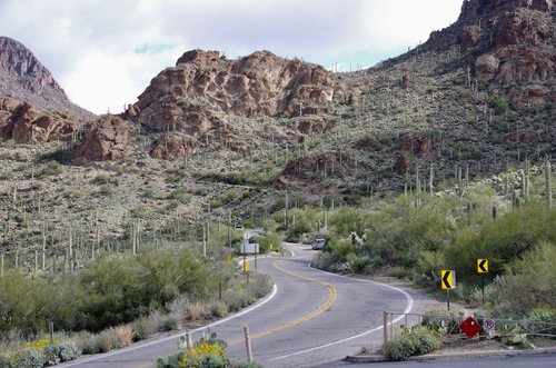 Jour 12 - Saguaro National Park, Arizona