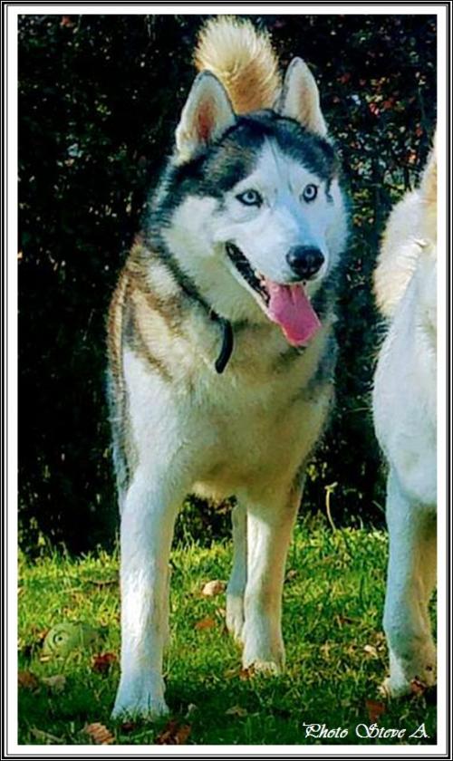 Ilouky (3 ans)