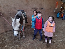 maternelle : activité Poney - séance 1