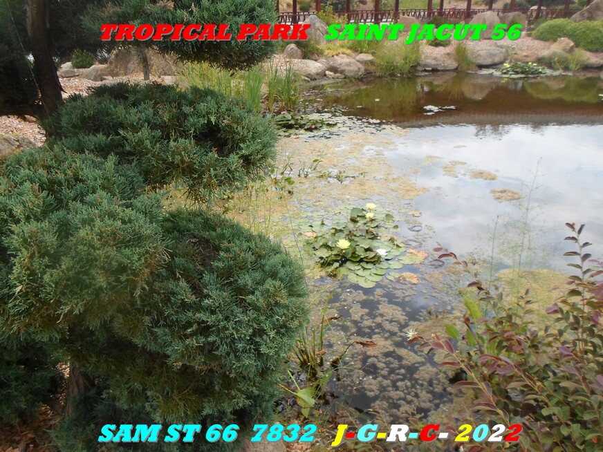 TROPICAL PARK  SAINT JACUT 56  9/10  D  23-03-2023
