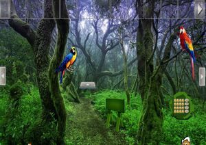 Jouer à Macaw green forest escape