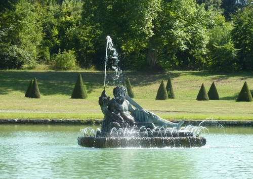 Les crépidules du château de Fontainebleau