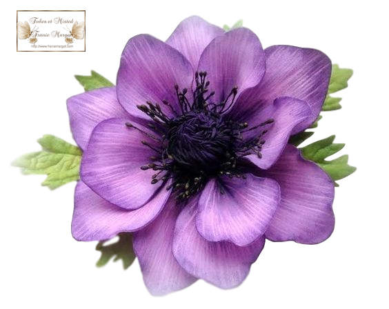 fleurs-484-franiemargot.png