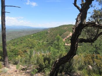 Vue vers le versant nord de la colle du Rouet