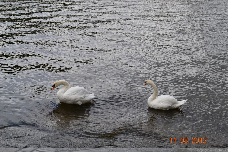 PRAGUE AU FIL DE L'EAU