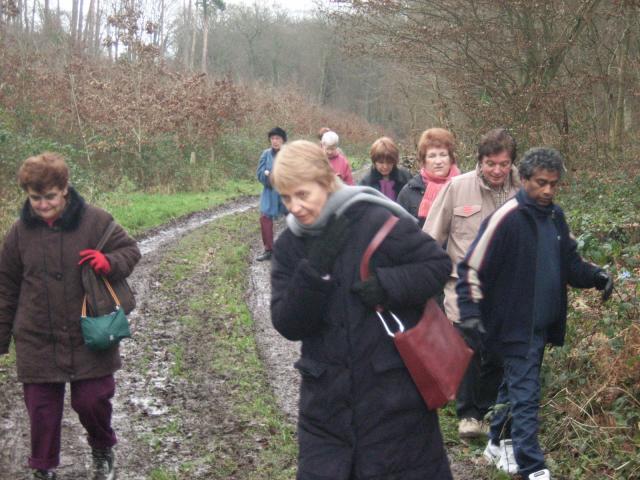 Promenade en Forêt Verte