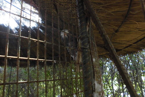 Parc Zoologique et Botanique de Port El Kantaoui