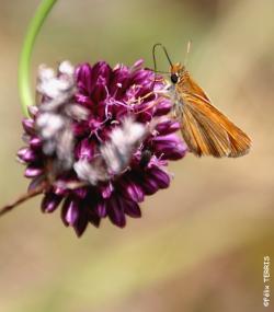 Week-end Ardèche des 15 et 16/06/2019