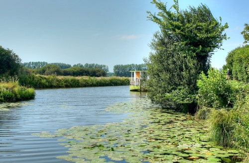 Marais de Carentan avec la Rosée du soleil 