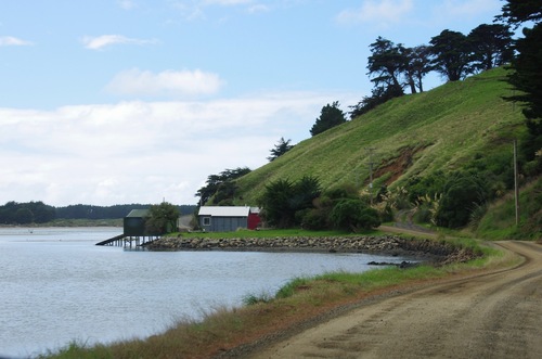 Jour 10 - Otago Peninsula