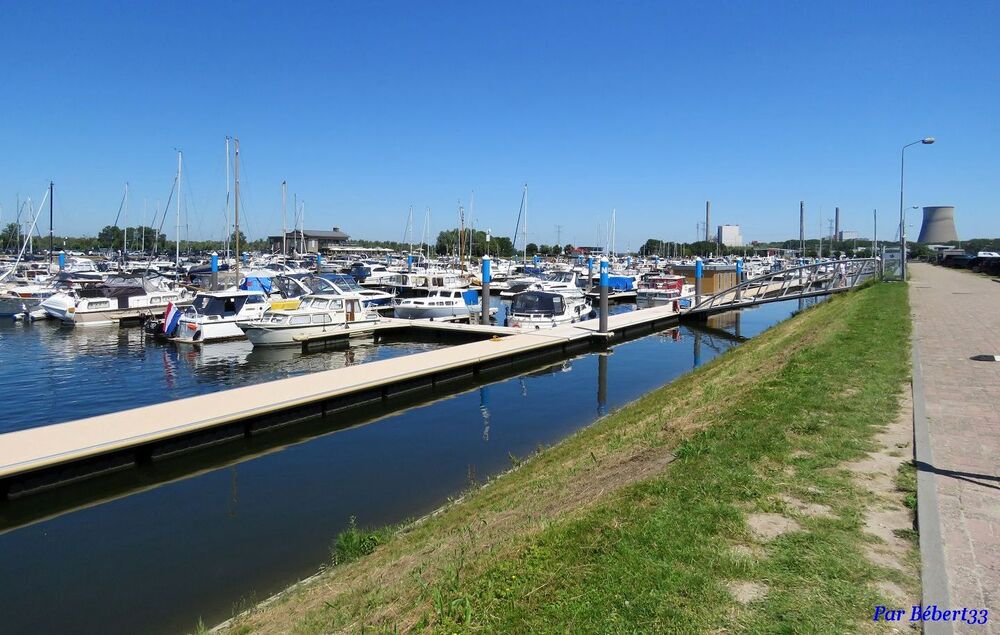 Biesbosch en Hollande